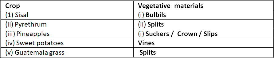 ​Complete the table below showing the various vegetative planting materials for crops     Picture